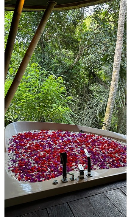 widoki z bali